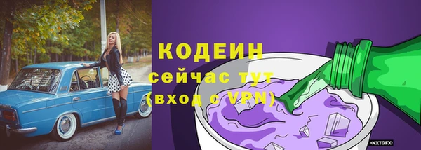 твердый Дмитровск