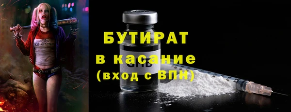твердый Дмитровск
