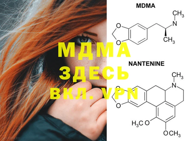 молекула духа Дмитров