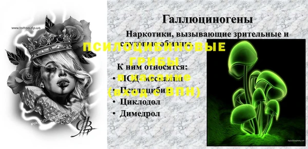 таблы Дмитриев