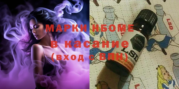 твердый Дмитровск