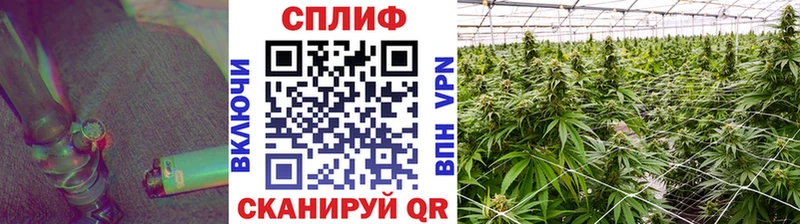 Марихуана SATIVA & INDICA Прокопьевск
